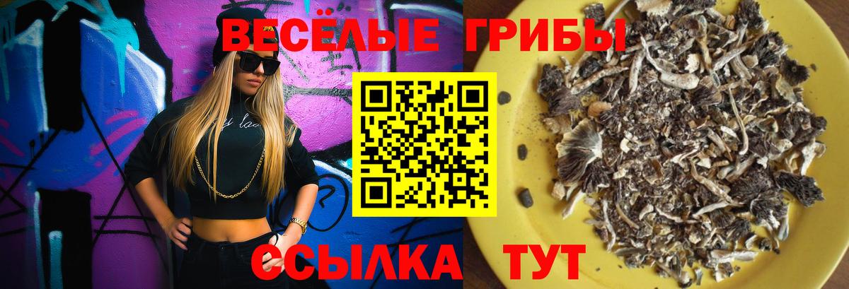 Усть-Джегута  Псилоцибиновые грибы прущие грибы  продажа наркотиков  Псилоцибиновые грибы мухоморы  Вход с VPN 